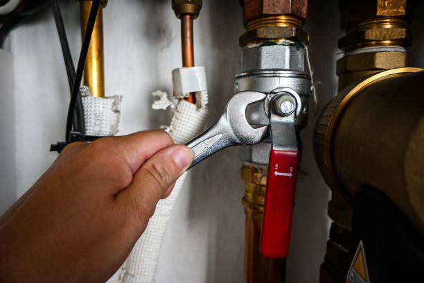 Best Clogged Drain Plumber  in Dothan, AL